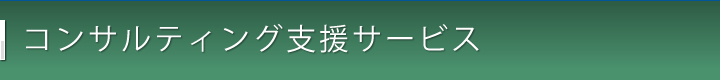 コンサルティング支援サービス